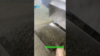 Teste flutuante da máquina da extrusora da pelota da alimentação dos peixes 200 kg/h antes de embalar #fishfeedmachine