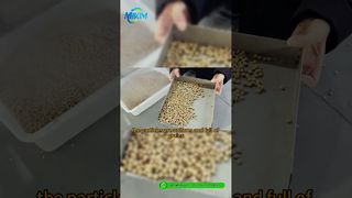 Linha de produção de pellets de ração para peixes DGP-85 | Introdução e demonstração completa do processo#fishfeedproductionline
