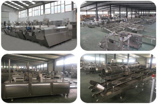 WEG / Siemens Motor Pet Treat Machine com vários componentes adicionados