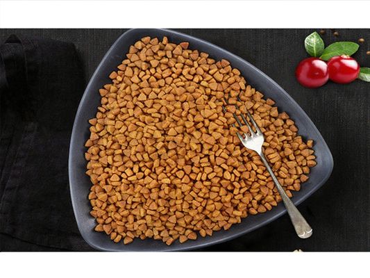 Máquina de extrusão de alimentação de peixes de pellets AutoCAD layout