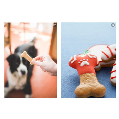 Cão que mastiga os alimentos para animais de estimação dos cuidados dentários que processam a maquinaria 12 meses de garantia