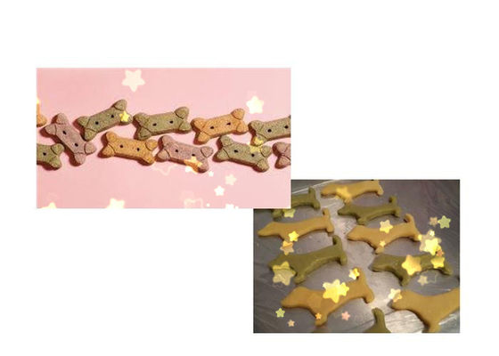 Máquina colorida de aço inoxidável da fabricação de biscoitos do cão do Dr. -280 com desempenho estável