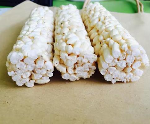 Multi - barra de chocolate composta do granola do cereal da função que forma a máquina