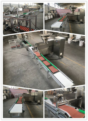 Linha de produção de aço inoxidável tira dos alimentos para animais de estimação da carne que forma com auto sistema da bandeja