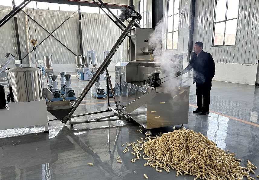 Nova Máquina Extrusora de Ração Flutuante para Peixes de Aço Inoxidável de Parafuso Duplo de 500-800kg/h para Processamento de Ração Aquática para Tanques de Peixes Autolimpeza Totalmente Automática